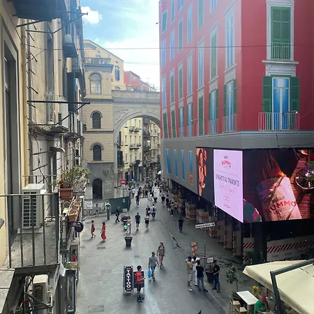 Plebiscito Alojamento de Acomodação e Pequeno-almoço 4*