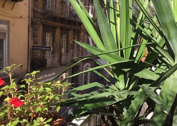 Plebiscito Bed & Breakfast Neapol