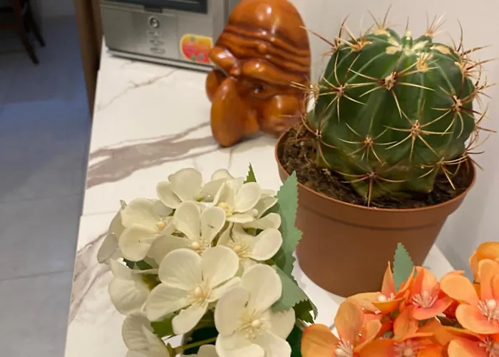 Plebiscito Bed & Breakfast