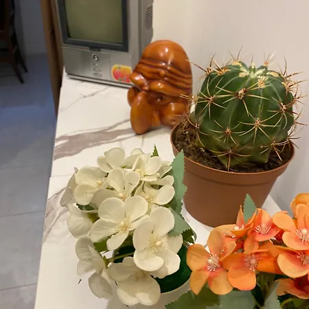 Plebiscito B&B