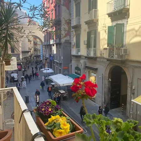 فندق مبيت وإفطار Plebiscito 4*